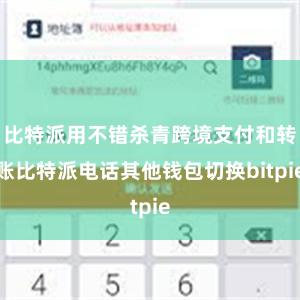 比特派用不错杀青跨境支付和转账比特派电话其他钱包切换bitp