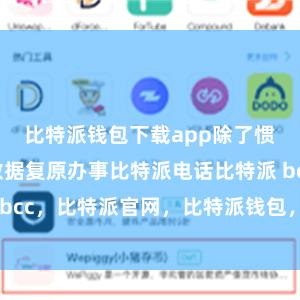 比特派钱包下载app除了惯例的硬盘数据复原办事比特派电话比特