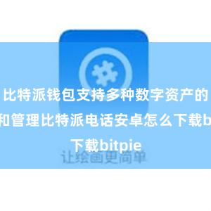 比特派钱包支持多种数字资产的存储和管理比特派电话安卓怎么下载