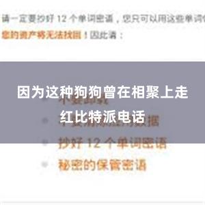 因为这种狗狗曾在相聚上走红比特派电话