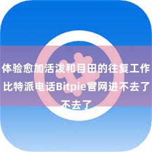 体验愈加活泼和目田的往复工作比特派电话Bitpie官网进不去了